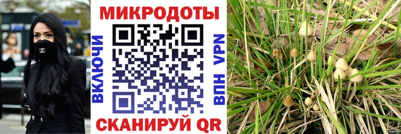 где можно купить   Норильск  нарко площадка официальный сайт  Псилоцибиновые грибы Magic Shrooms 