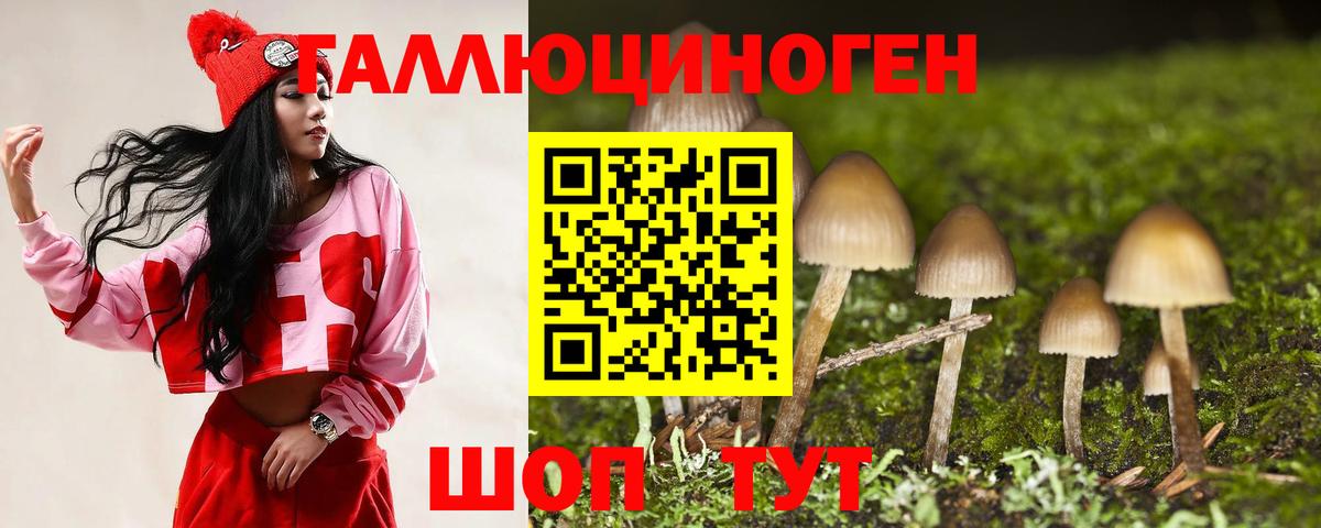 Галлюциногенные грибы мухоморы Норильск