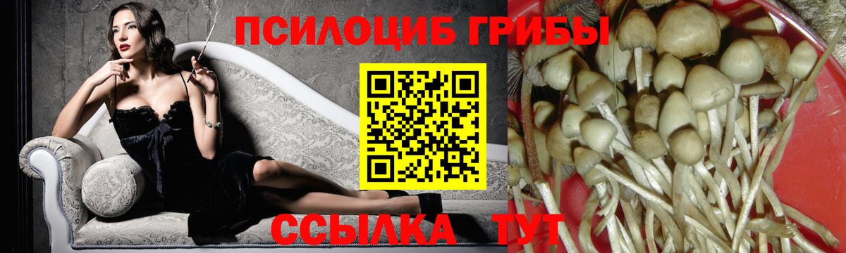 Псилоцибиновые грибы MAGIC MUSHROOMS  Вход с VPN  Норильск 